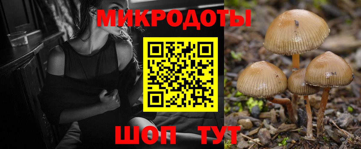 Псилоцибиновые грибы Magic Shrooms  Вход с VPN  Камень-на-Оби  Псилоцибиновые грибы прущие грибы 